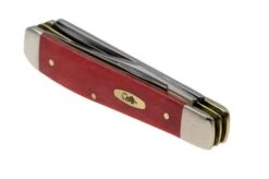 Case Mini Trapper 10761 Smooth Dark Red Bone, Pinched Bolsters 6207 SS Navaja -Case Knives Ventas CE10761 05 case