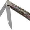 Case Copperhead Abalone, 12023, 8249W SS Navaja, Caja De Regalo -Case Knives Ventas CE12023 01 case