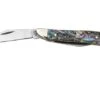 Case Peanut 12025 Smooth Abalone, 8220 Stainless Steel, Velvet Box, Navaja Slipjoint