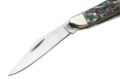 Case Peanut 12025 Smooth Abalone, 8220 Stainless Steel, Velvet Box, Navaja Slipjoint -Case Knives Ventas CE12025 03 case