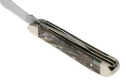 Case Peanut 12025 Smooth Abalone, 8220 Stainless Steel, Velvet Box, Navaja Slipjoint -Case Knives Ventas CE12025 04 case