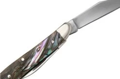 Case Peanut 12025 Smooth Abalone, 8220 Stainless Steel, Velvet Box, Navaja Slipjoint -Case Knives Ventas CE12025 05 case