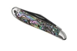 Case Peanut 12025 Smooth Abalone, 8220 Stainless Steel, Velvet Box, Navaja Slipjoint -Case Knives Ventas CE12025 08 case