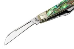 Case Small Congress 12026 Smooth Abalone, Navaja Con Velvet Box -Case Knives Ventas CE12026 03 case