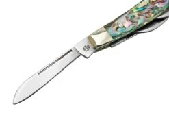 Case Small Congress 12026 Smooth Abalone, Navaja Con Velvet Box -Case Knives Ventas CE12026 05 case
