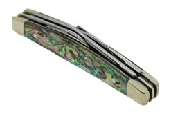 Case Small Congress 12026 Smooth Abalone, Navaja Con Velvet Box -Case Knives Ventas CE12026 06 case
