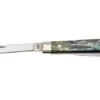 Case Baby Doc Smooth Abalone, 12029, 8282SP SS Navaja -Case Knives Ventas CE12029 01 case
