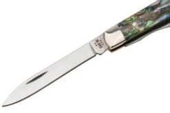 Case Baby Doc Smooth Abalone, 12029, 8282SP SS Navaja -Case Knives Ventas CE12029 03 case