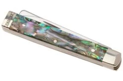 Case Baby Doc Smooth Abalone, 12029, 8282SP SS Navaja -Case Knives Ventas CE12029 06 case