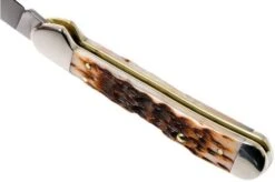 Case Mini Copperlock Amber Jigged Bone, 00133, 61749L SS Navaja -Case Knives Ventas CE133 06 case ce133 06 1
