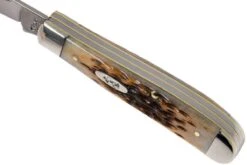 Case Mini Trapper Amber Jigged Bone, 00013, 6207 SS Navaja -Case Knives Ventas CE13 08 case ce13 08