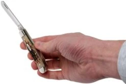 Case Mini Trapper Amber Jigged Bone, 00013, 6207 SS Navaja -Case Knives Ventas CE13 09 case ce13 09 1