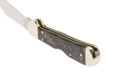 Case Mini CopperLock Black Curly Oak Wood, 14010, 71749L SS, Navaja -Case Knives Ventas CE14010 04 case