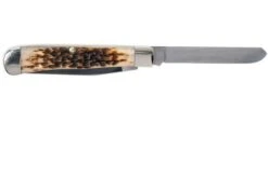 Case Trapper Amber Jigged Bone, 00163, 6254 CV Navaja -Case Knives Ventas CE163 03 case ce163 03