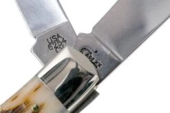 Case Trapper Amber Jigged Bone, 00163, 6254 CV Navaja -Case Knives Ventas CE163 06 case ce163 06