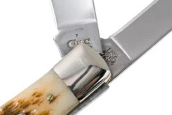 Case Trapper Amber Jigged Bone, 00164, 6254 SS Navaja -Case Knives Ventas CE164 06 case ce164 06