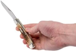 Case Trapper Amber Jigged Bone, 00164, 6254 SS Navaja -Case Knives Ventas CE164 09 case ce164 09