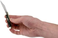 Case Peanut Rough Black Synthetic, 18225, 6220 SS Navaja -Case Knives Ventas CE18225 05 case 1