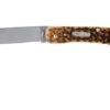 Case Sod Buster Jr Amber Jigged Bone, 245 6137 SS Navaja -Case Knives Ventas CE245 01 case ce245 01 1