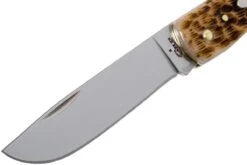 Case Sod Buster Jr Amber Jigged Bone, 245 6137 SS Navaja -Case Knives Ventas CE245 03 case ce245 03