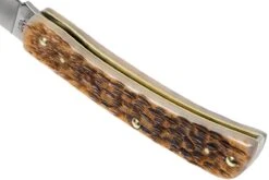 Case Sod Buster Jr Amber Jigged Bone, 245 6137 SS Navaja -Case Knives Ventas CE245 05 case ce245 05