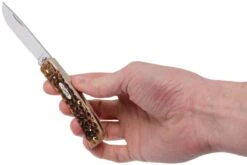 Case Sod Buster Jr Amber Jigged Bone, 245 6137 SS Navaja -Case Knives Ventas CE245 09 case ce245 09