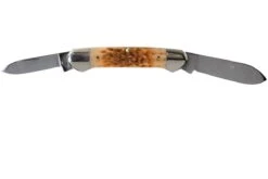 Case Canoe Amber Jigged Bone, 00263, 62131 CV Navaja -Case Knives Ventas CE263 04 case ce263 04