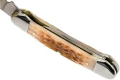 Case Canoe Amber Jigged Bone, 00263, 62131 CV Navaja -Case Knives Ventas CE263 08 case ce263 08 1