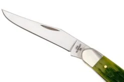 Case Muskrat Green Apple Bone, Peach Seed Jig, 27866, MUSKRAT SS Navaja -Case Knives Ventas CE27866 04 case