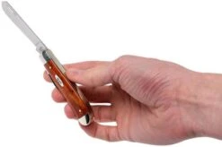 Case Mini Trapper Smooth Chestnut Bone, 28700, 6207 SS Navaja -Case Knives Ventas CE28700 09 case ce28700 09 1