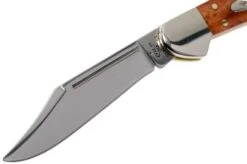 Case Mini Copperlock Smooth Chestnut Bone, 28704, 61749L SS Navaja -Case Knives Ventas CE28704 03 case ce28704 03 1
