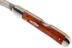 Case Mini Copperlock Smooth Chestnut Bone, 28704, 61749L SS Navaja -Case Knives Ventas CE28704 06 case ce28704 06
