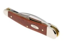 Case Seahorse Whittler Smooth Chestnut Bone, 28913, 6355WH SS, Navaja -Case Knives Ventas CE28913 05 case