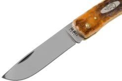 Case Sod Buster Jr Amber Jigged Bone, 30092, 6137 CV Navaja -Case Knives Ventas CE30092 03 case 1