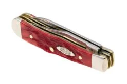 Case Tiny Trapper Dark Red Bone, Peach Seed Jig, 31944, 62154W CS, Navaja -Case Knives Ventas CE31944 05 case