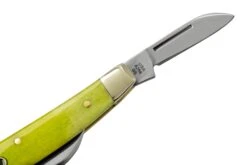 Case Small Congress 53032 Green Apple Bone, Navaja -Case Knives Ventas CE53032 04 case