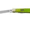 Case Mini Trapper 53034 Green Apple Bone, Navaja -Case Knives Ventas CE53034 01 case