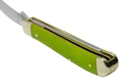 Case Mini Trapper 53034 Green Apple Bone, Navaja -Case Knives Ventas CE53034 05 case