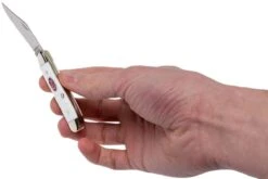 Case Peanut SparXX White Synthetic, 60188, 6220 SS Navaja -Case Knives Ventas CE60188 10 case ce60188 10