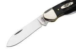 Case Canoe 65029 Jigged Buffalo Horn BH2131 SS Navaja -Case Knives Ventas CE65029 03 case