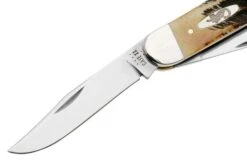 Case Sowbelly 65313 Case 6.5 BoneStag TB6.5339 SS Navaja, Diseño Tony Bose -Case Knives Ventas CE65313 03 case
