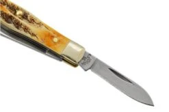 Case Small Swell Center Jack 65326 Jigged Stag Bone, Stainless Steel, Navaja -Case Knives Ventas CE65326 04 case