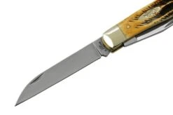 Case Trapper 65329, 6.5 BoneStag, Navaja -Case Knives Ventas CE65329 03 case 1