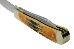 Case Trapper 65329, 6.5 BoneStag, Navaja -Case Knives Ventas CE65329 05 case