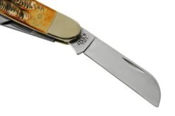 Case Stockman 65336, 6.5 BoneStag, Navaja -Case Knives Ventas CE65336 04 case