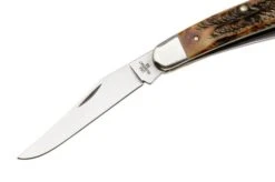 Case Muskrat 6.5 BoneStag, 65346, MUSKRAT SS, Navaja -Case Knives Ventas CE65346 04 case