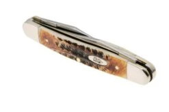 Case Muskrat 6.5 BoneStag, 65346, MUSKRAT SS, Navaja -Case Knives Ventas CE65346 05 case