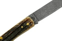 Case Sod Buser Jr 77461 Damascus Vintage Bone, Navaja -Case Knives Ventas CE77461 05 case