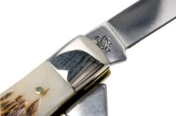 Case Stockman Amber Jigged Bone, 00079, 63032 CV Navaja -Case Knives Ventas CE79 05 case ce79 05 1