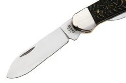 Case Canoe 81802 Golden Pinecone Embellished Natural Bone 62131 SS Navaja -Case Knives Ventas CE81802 03 case